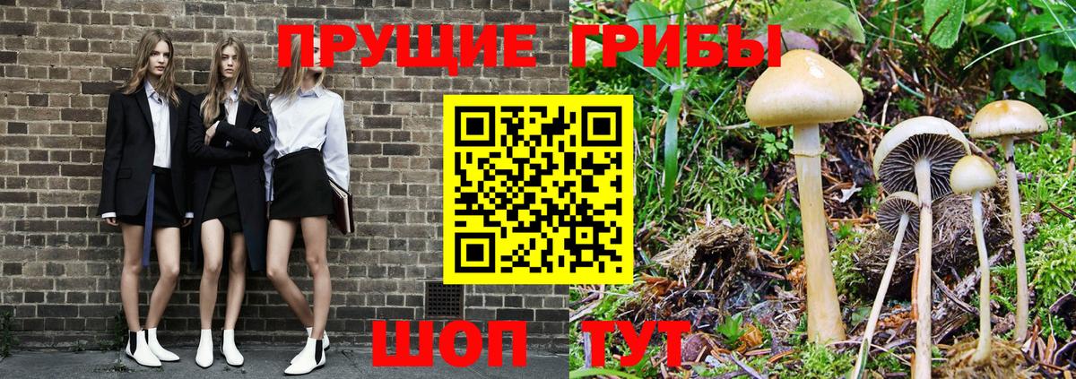 Мытищи  Псилоцибиновые грибы GOLDEN TEACHER  Вход с VPN 
