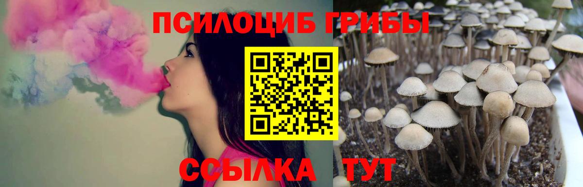 Галлюциногенные грибы мицелий Мытищи